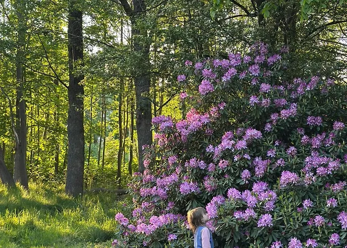 Palacyk Maison d'hôtes